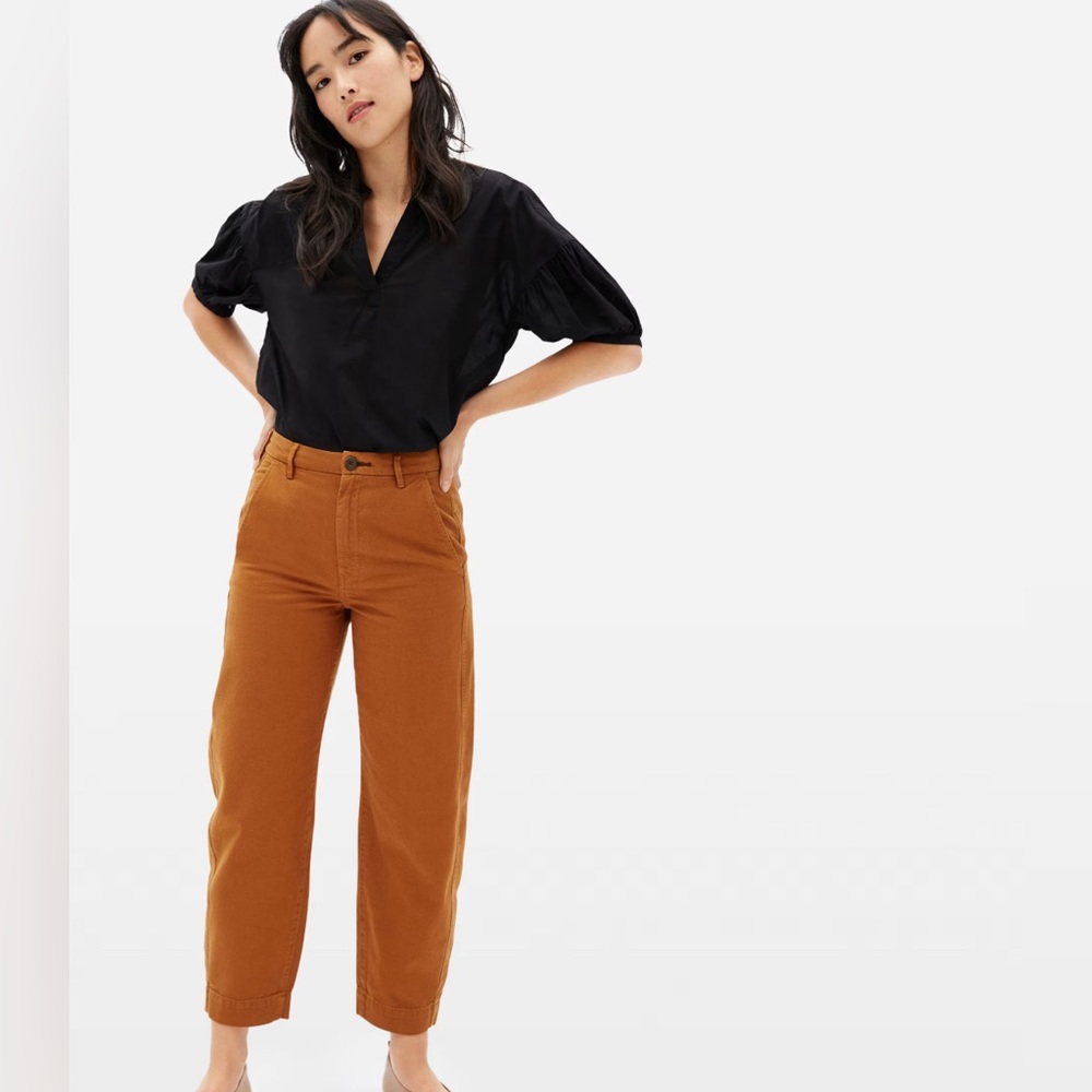 Everlane The Arc Canvas Pant